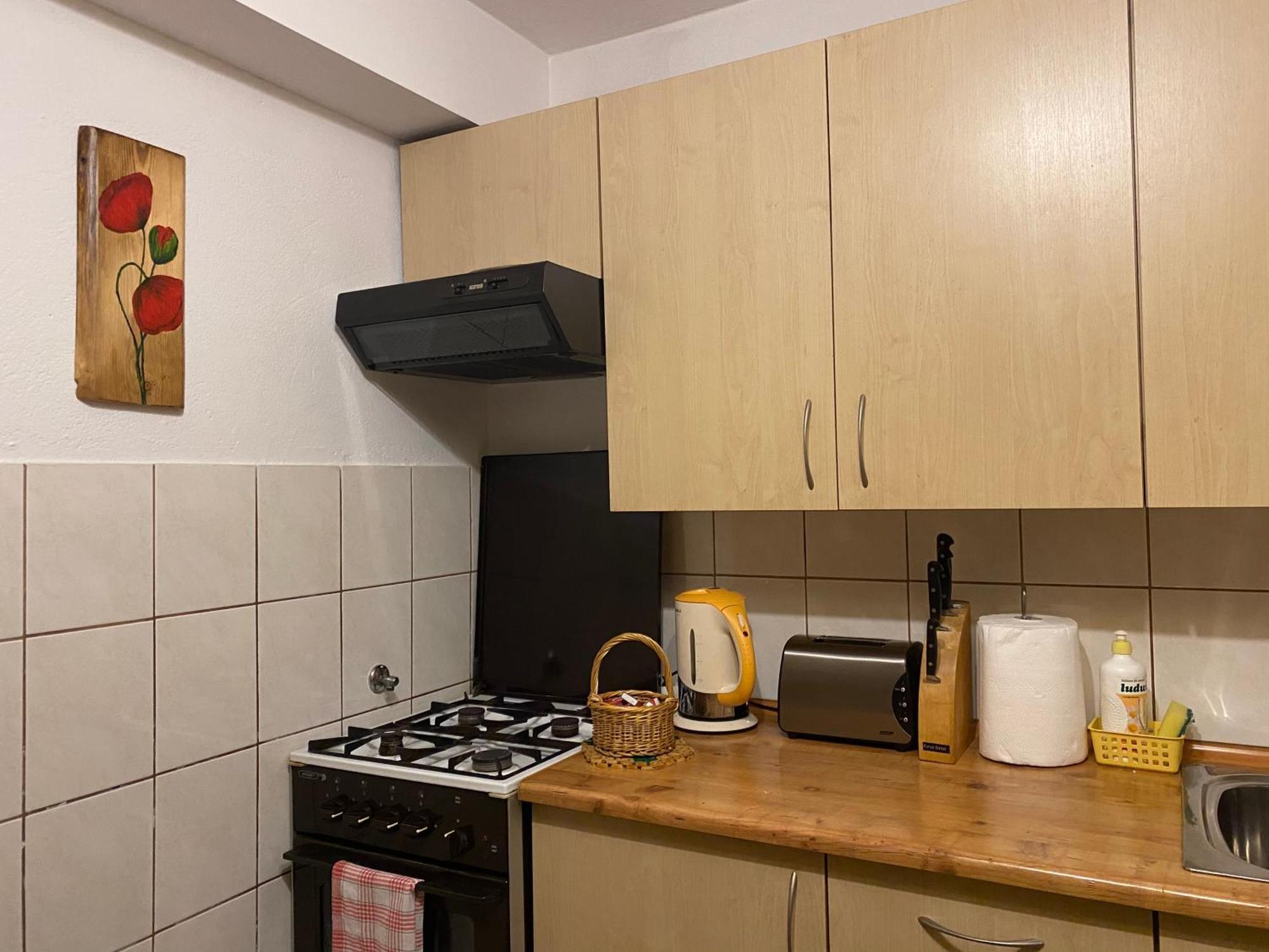 Kuncowka Apartment Закопане Екстериор снимка
